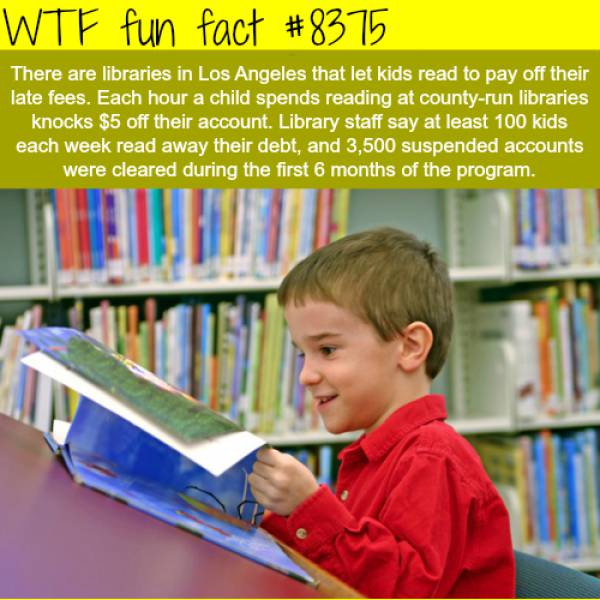 Strengthen Your Brain With These Facts!