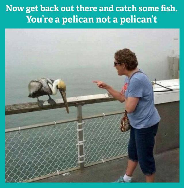 Funny Picdump