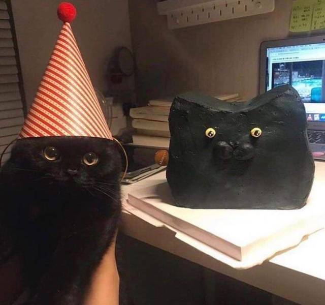 Daily Picdump [WEEKEND EDITION]
