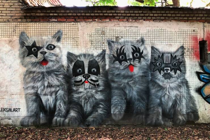 Daily Picdump