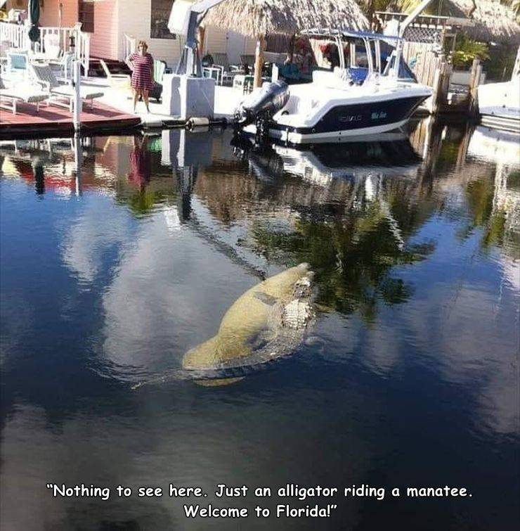 Daily Picdump [WEEKEND EDITION]