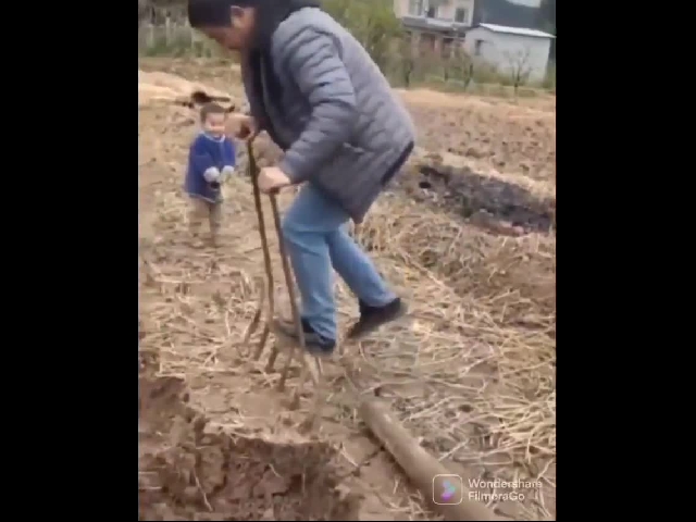 Little Helper