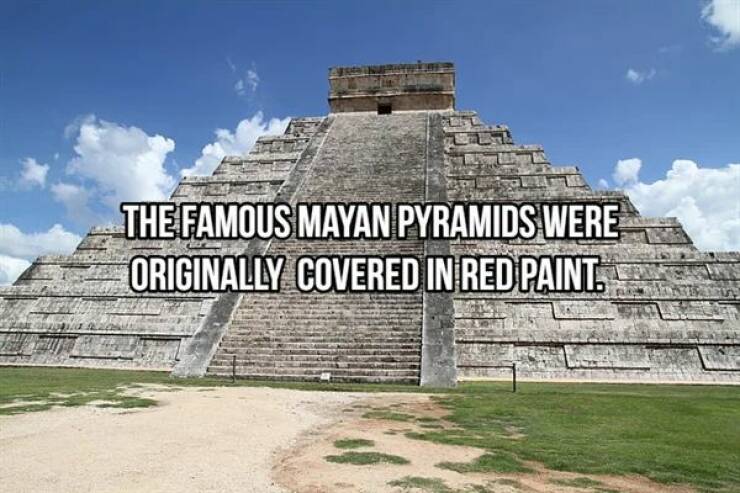A Look Into The Ancient World Of Maya