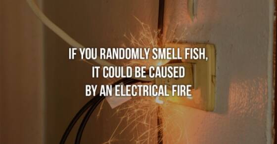 These Facts Might Save Your Life...