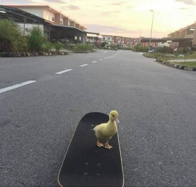 Morning Picdump