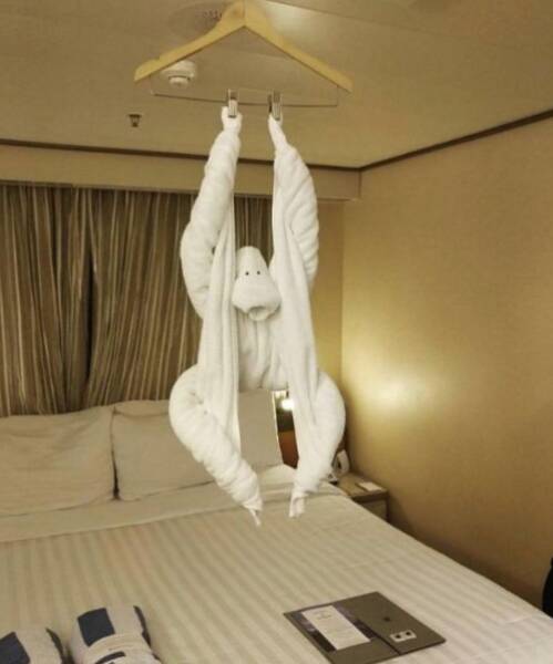 Morning Picdump