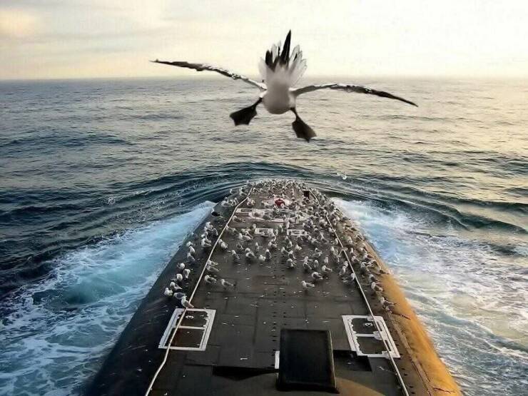 Daily Picdump [WEEKEND EDITION]