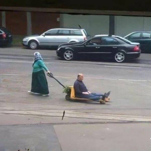 Morning Picdump