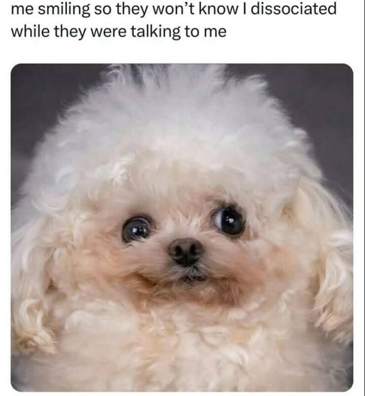 Funny Picdump