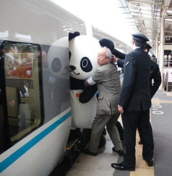 Morning Picdump