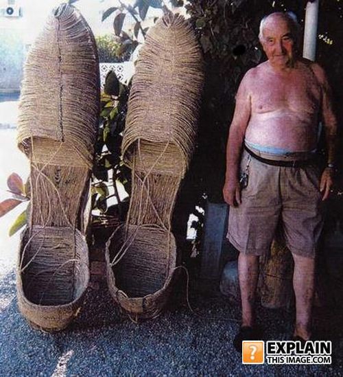 Daily picdump (102 pics)