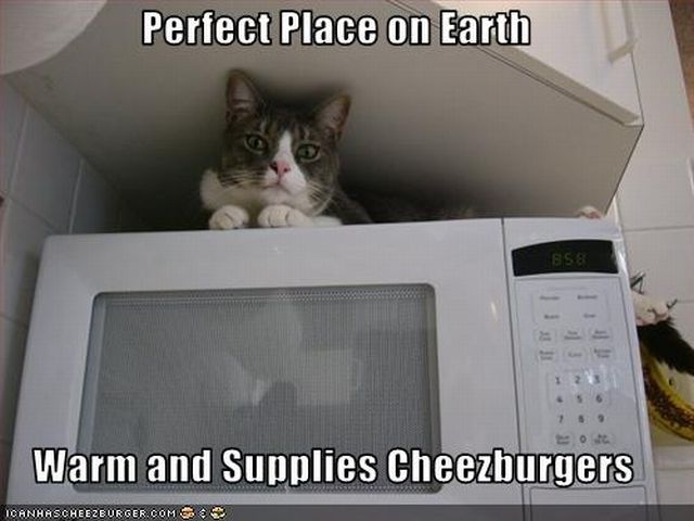 Daily picdump (102 pics)