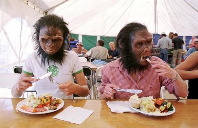 Daily picdump (102 pics)