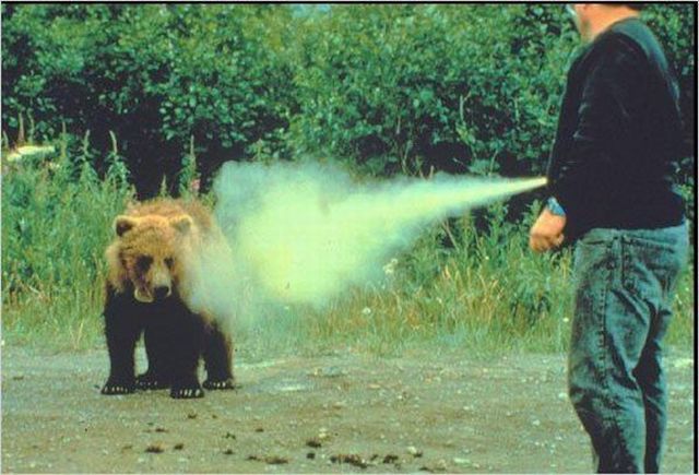 Daily picdump (102 pics)