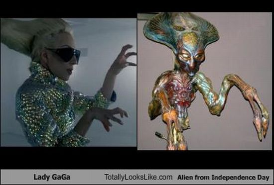Funny Look Alikes (67 pics)