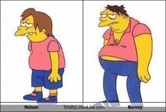 Funny Look Alikes (67 pics)