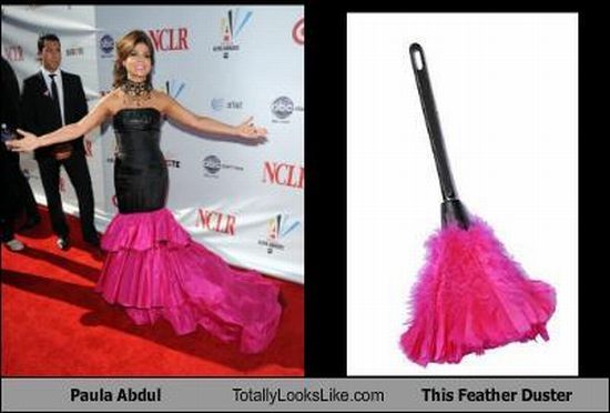 Funny Look Alikes (67 pics)