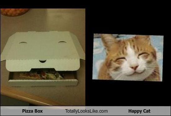 Funny Look Alikes (67 pics)