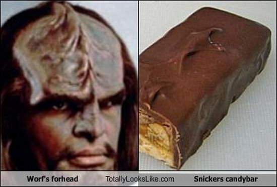 Funny Look Alikes (67 pics)