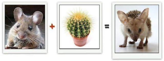 Mathematics Have Never Been Funnier (13 pics) Mathematics Have Never Been Funnier (13 pics)