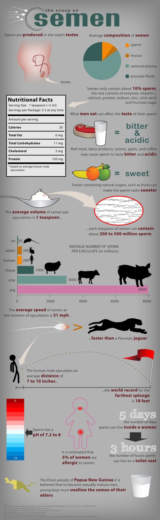Cool Big Infographic Pictures (45 pics)