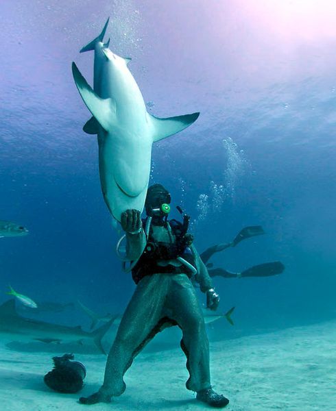 Daily picdump (111 pics)