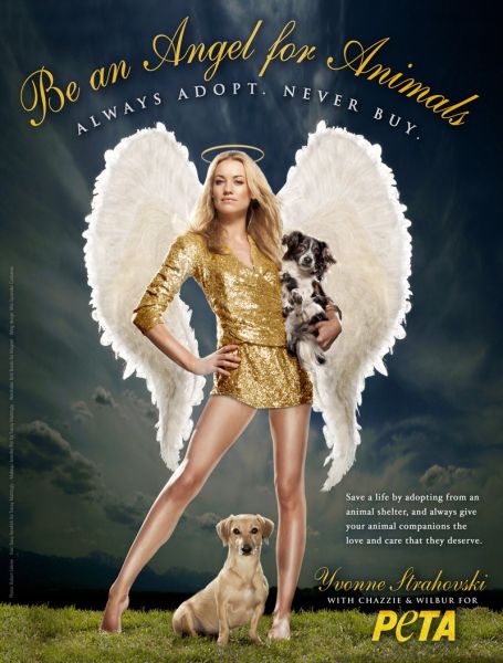 Eyes on Stars: Pregnancies, new moms, death hoax and more