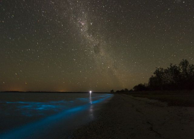 Beautiful and Rare Phenomenon of Water Glowing