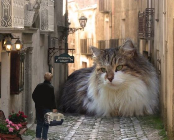 Uncanny Factoid: Pussy Church
