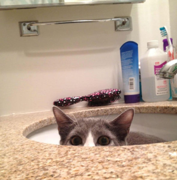 They Are Watching You