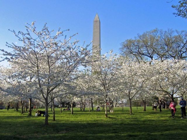What Your Salary Needs to Be to Own Property in Various US Cities
