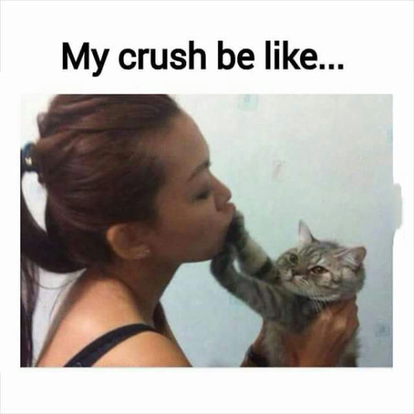 Funny Picdump