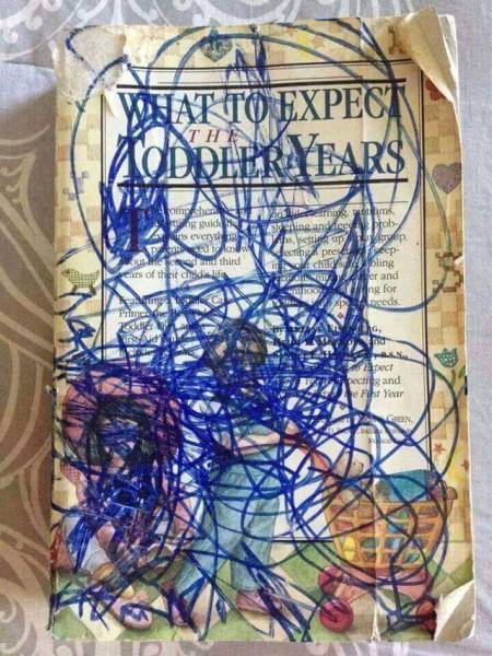 Daily Picdump
