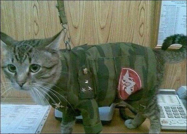 "WTF" is Russia