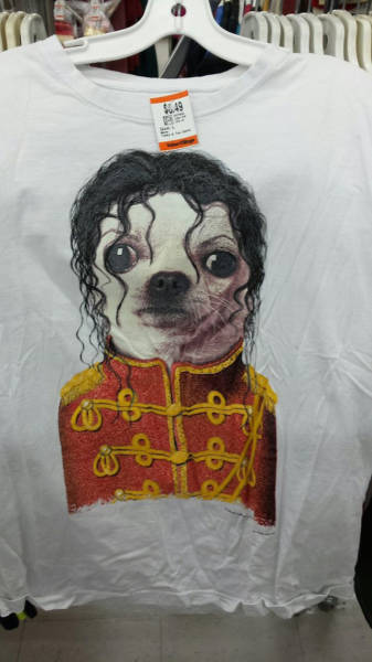 Thrift Shop Discoveries That Are Totally Arbitrary but Really Awesome at the Same Time