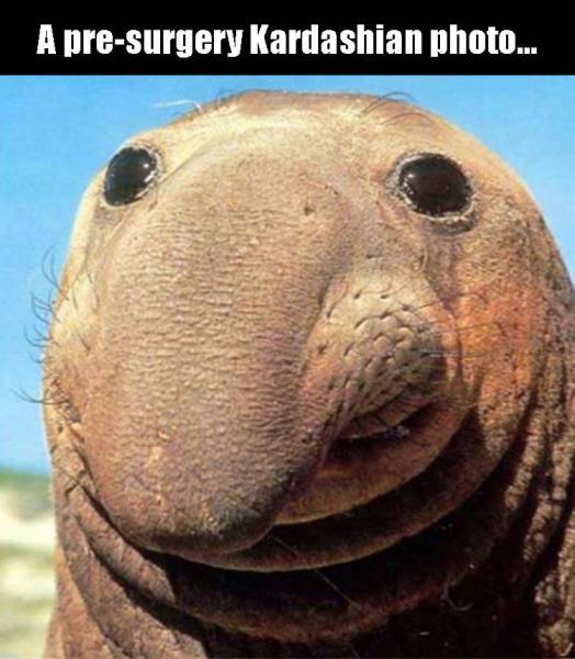 Funny Picdump